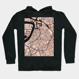 Antwerp Map Pattern in Soft Pink Pastels Hoodie